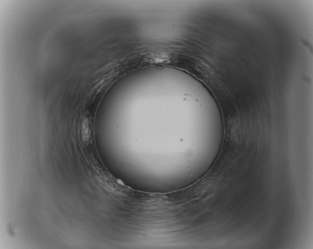 X0000103231442200809041014