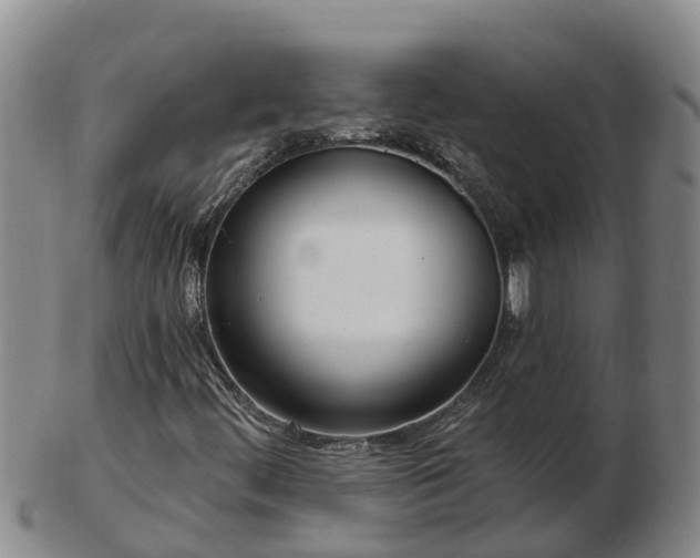 X0000103231444200809041014