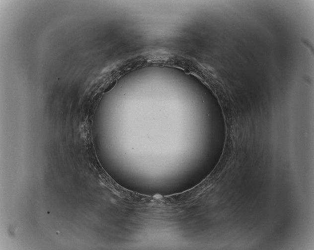 X0000103231445200809041014