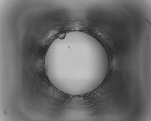 X0000103231446200809041014