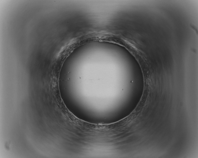 X0000103231447200809041014