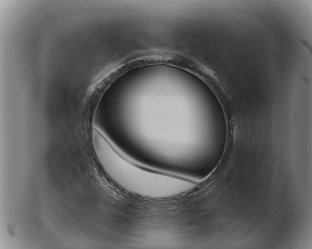 X0000103231448200809041014