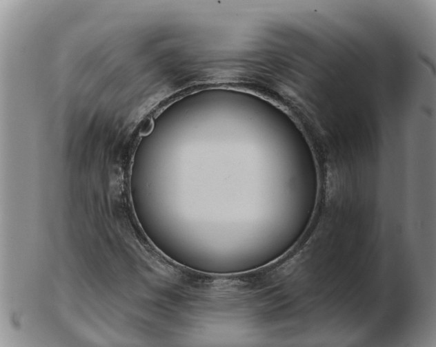 X0000103231449200809041014