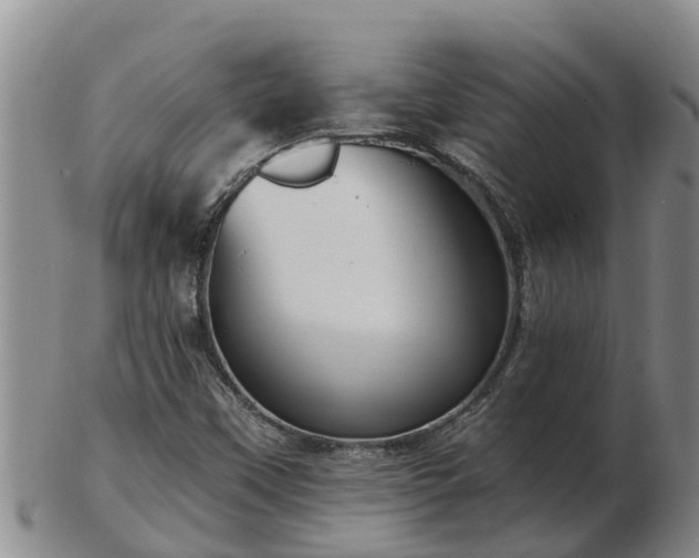 X0000103231451200809041014