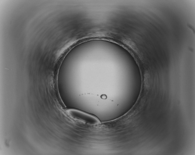 X0000103231452200809041014