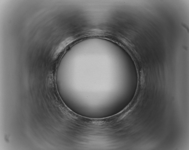 X0000103231453200809041014