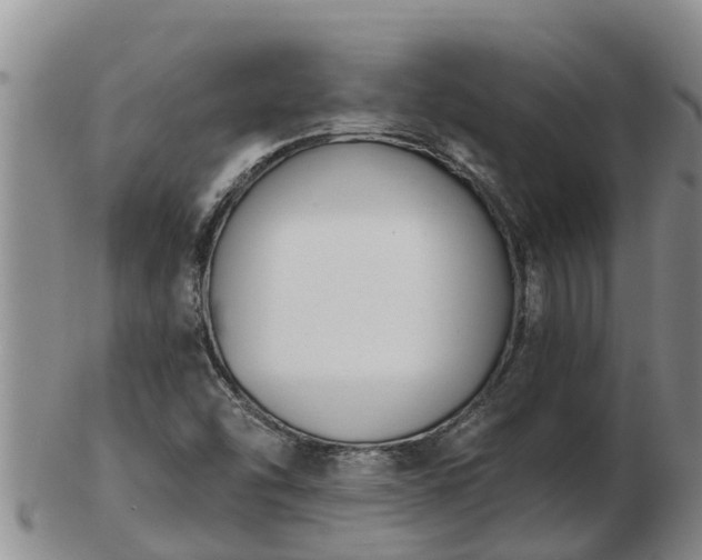 X0000103231454200809041014
