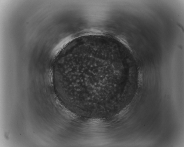 X0000103231455200809041014