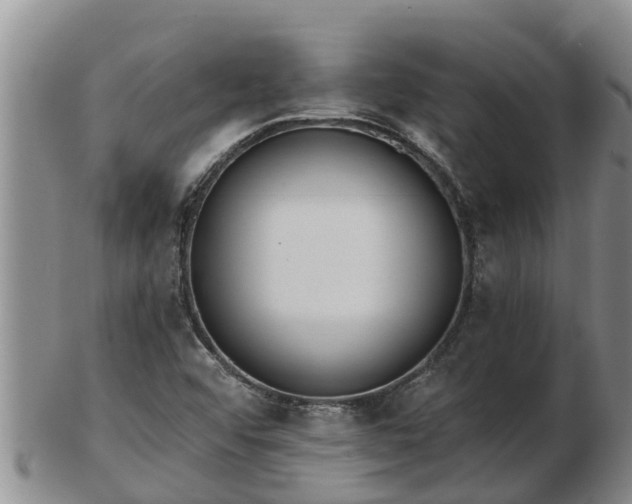 X0000103231456200809041014