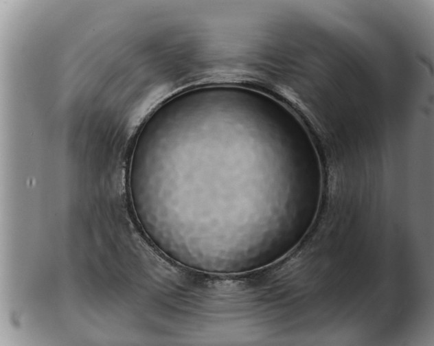 X0000103231459200809041014