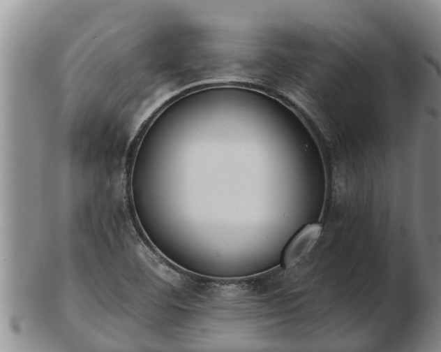 X0000103231460200809041014