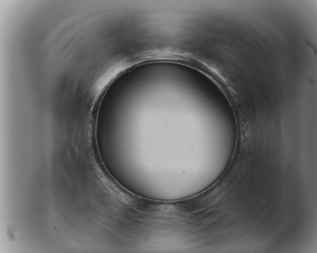 X0000103231463200809041014