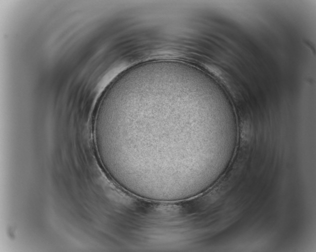 X0000103231466200809041014