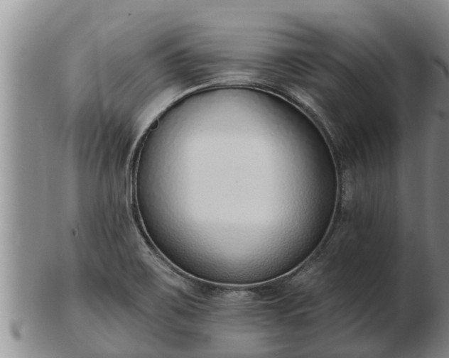 X0000103231467200809041014