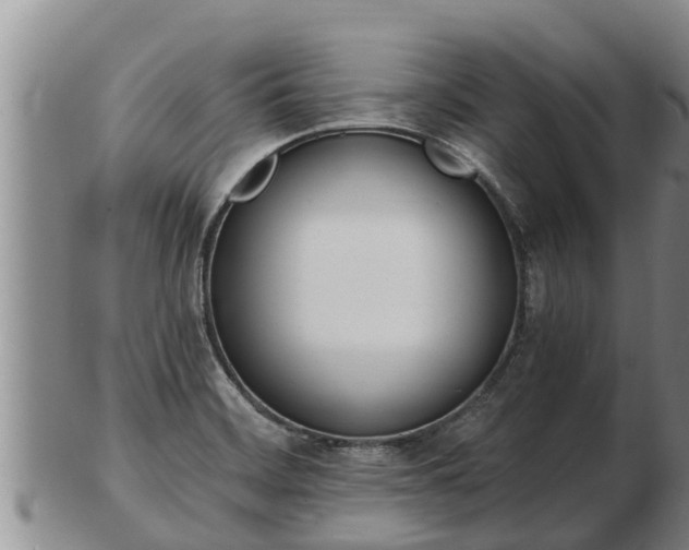X0000103231468200809041014
