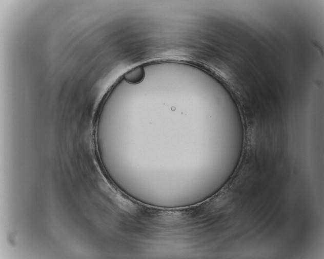 X0000103231470200809041014
