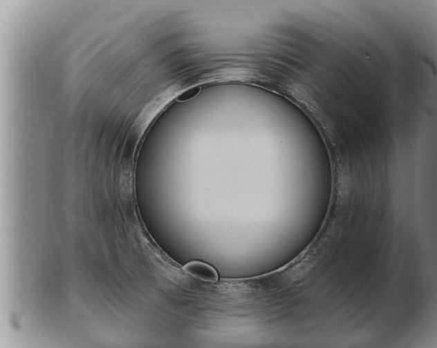 X0000103231473200809041014