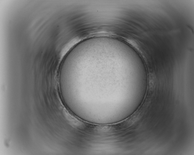 X0000103231474200809041014