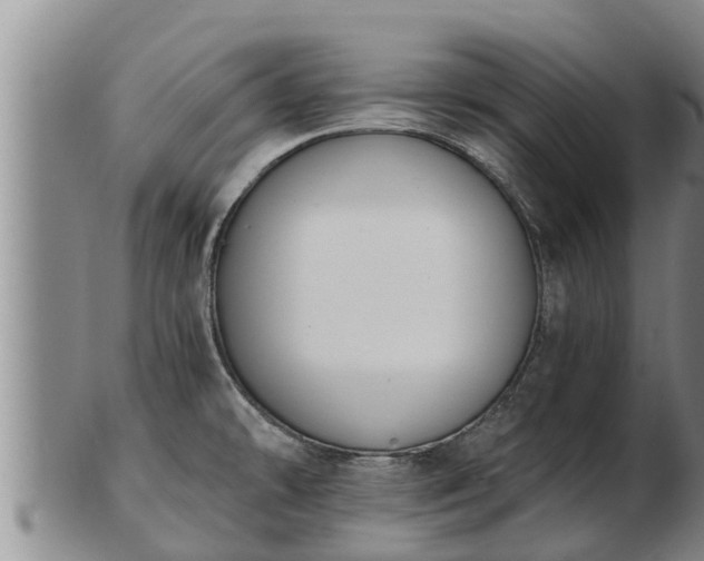 X0000103231478200809041014