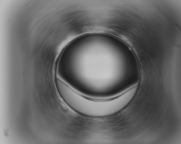 X0000103231480200809041014