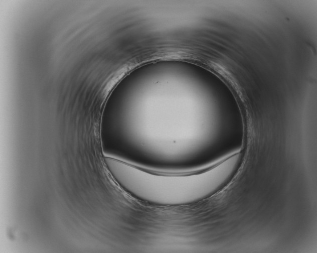 X0000103231481200809041014