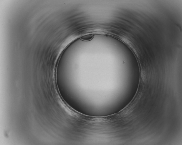 X0000103231482200809041014