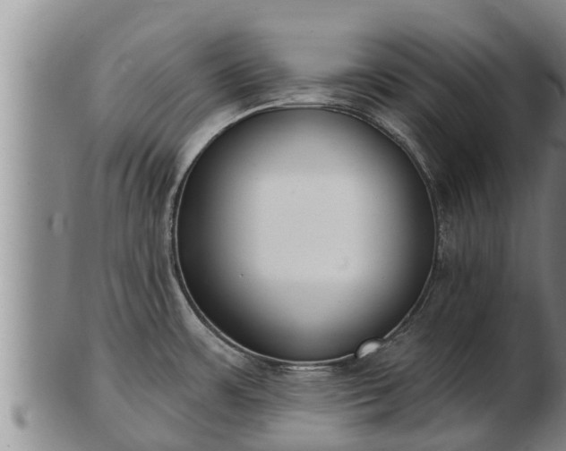 X0000103231483200809041014
