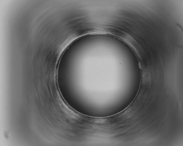 X0000103231484200809041014