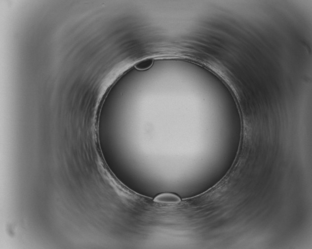 X0000103231485200809041014