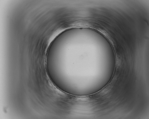 X0000103231486200809041014