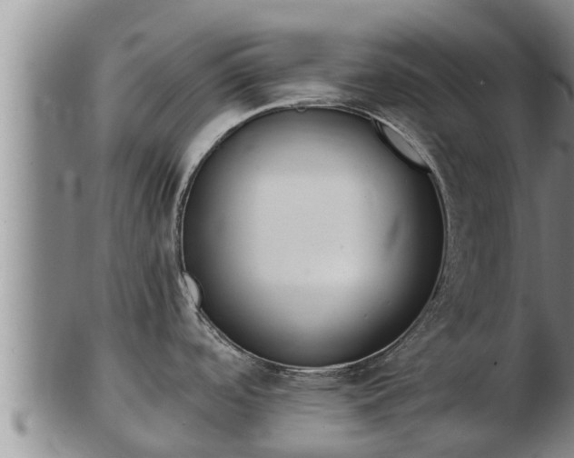 X0000103231488200809041014