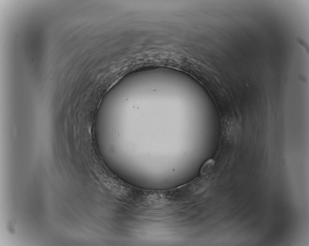 X0000103231489200809041013