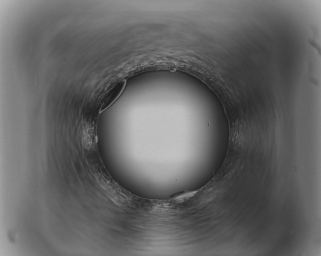 X0000103231490200809041013