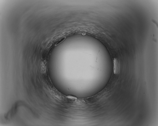 X0000103231491200809041013