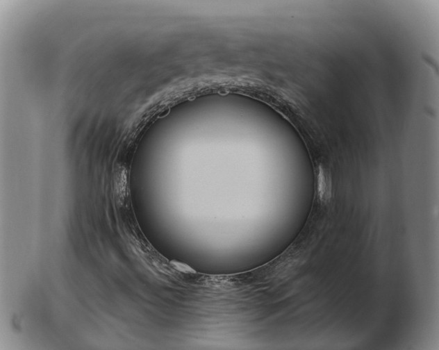 X0000103231492200809041013