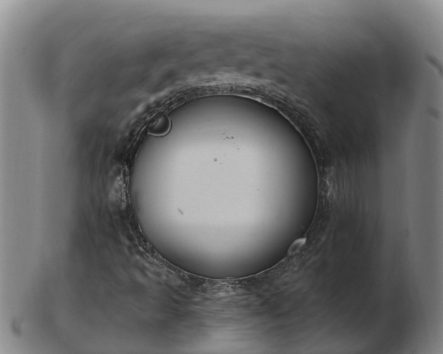 X0000103231493200809041013