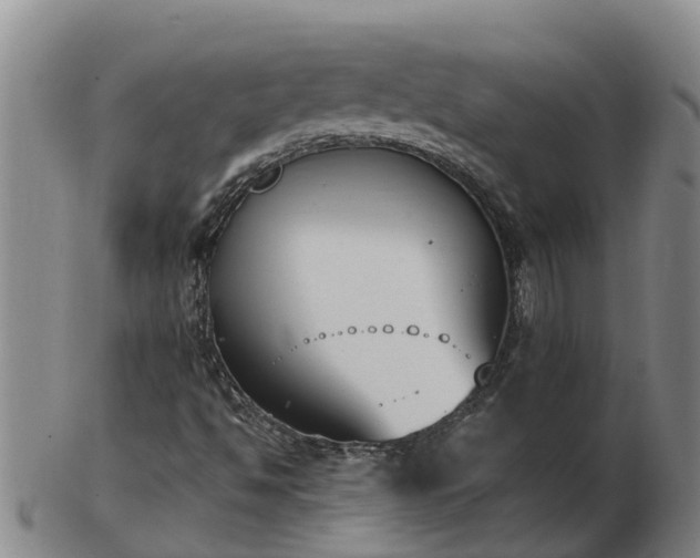 X0000103231494200809041013