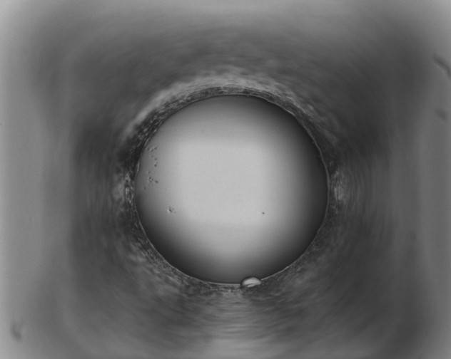 X0000103231495200809041013