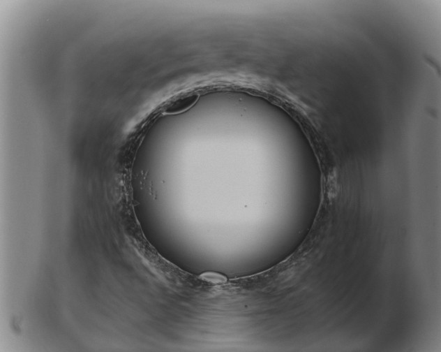 X0000103231496200809041013