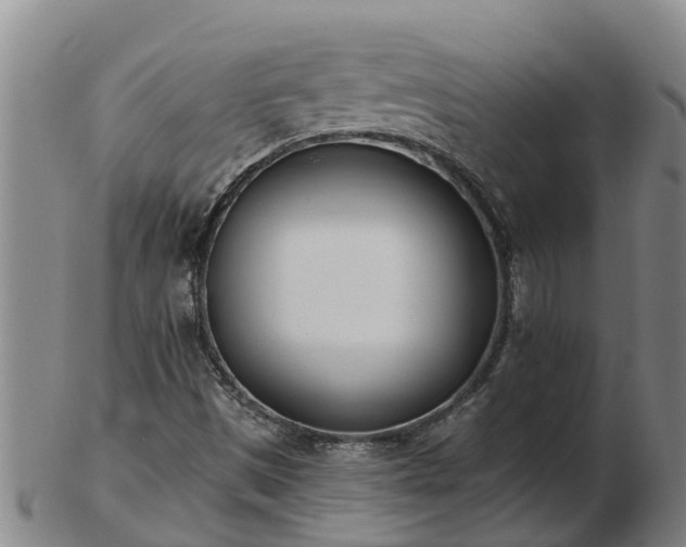 X0000103231497200809041013