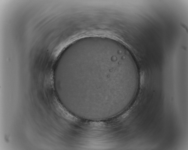 X0000103231498200809041013