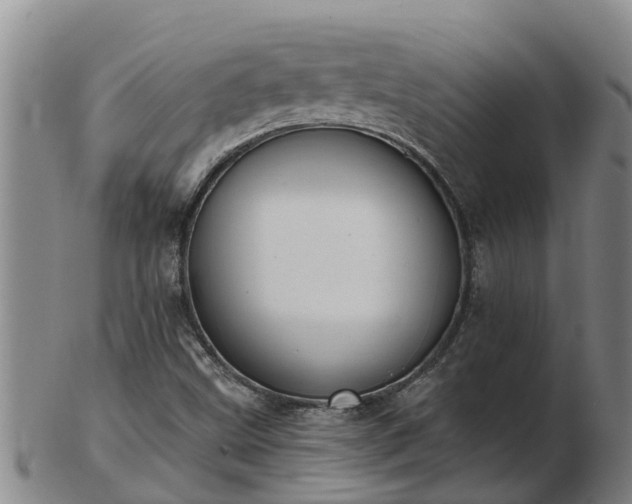 X0000103231499200809041013