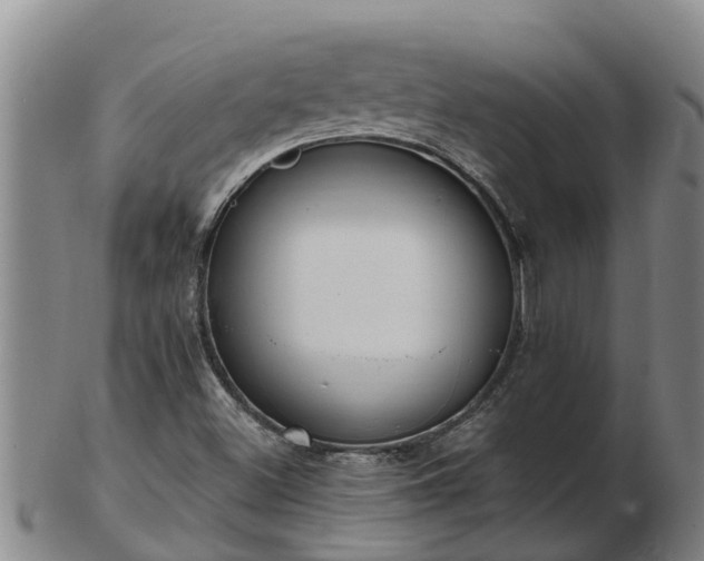 X0000103231500200809041013