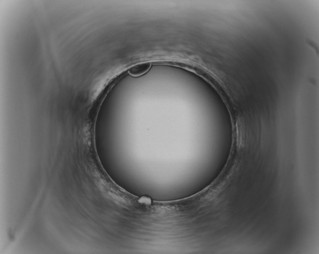 X0000103231501200809041013