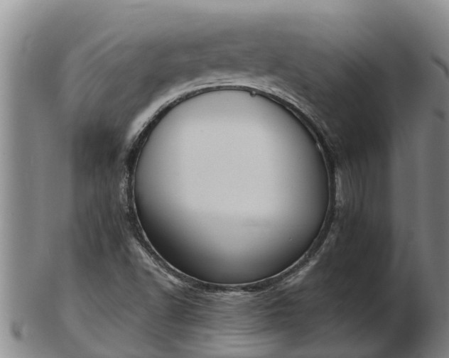 X0000103231502200809041013