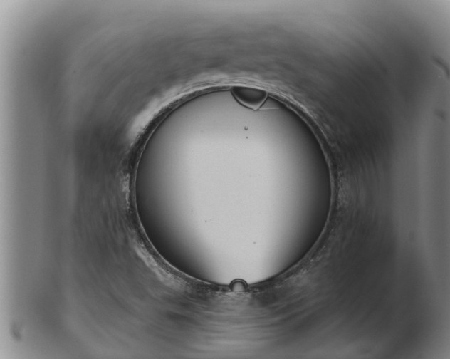 X0000103231503200809041013