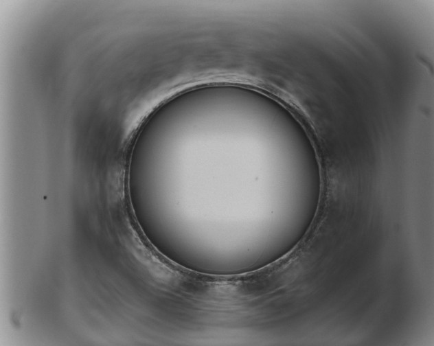 X0000103231504200809041013