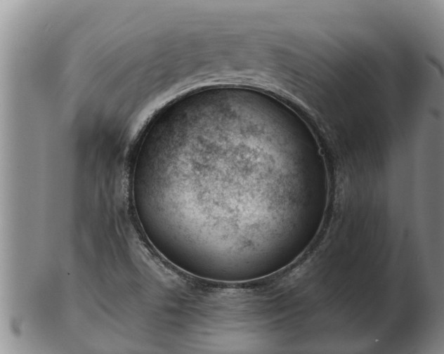 X0000103231506200809041013