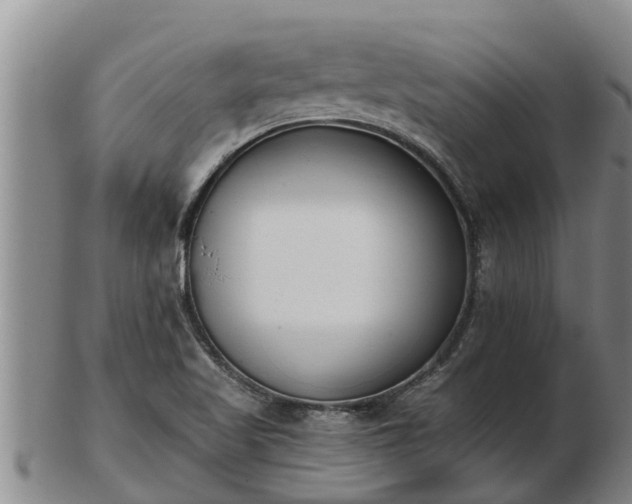 X0000103231509200809041013