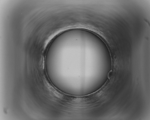 X0000103231510200809041013